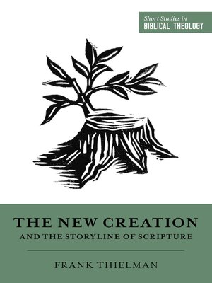 cover image of The New Creation and the Storyline of Scripture